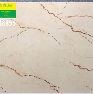 Đá Bóng Kính 80x80 Trung Quốc H8855