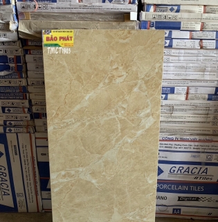 Gạch Lát Nền 60x120 Á Mỹ Tmct 1903