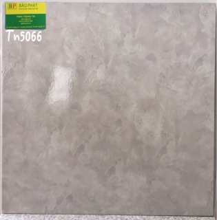 Gạch Lát Nền 50X50 Tn 5066