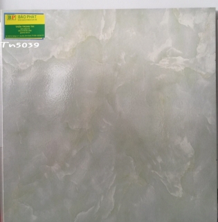 Gạch Lát Nền 50X50 Tn 5039