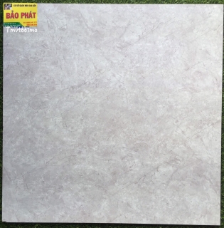 Đá Mờ 60x60 VITO TMVT 661 mo
