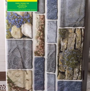 Gạch Trang Trí 25X40 AH.PH GD020