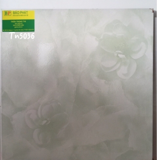Gạch Lát Nền 50X50 Tn 5036