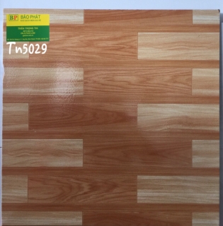 Gạch Lát Nền 50X50 Tn 5029