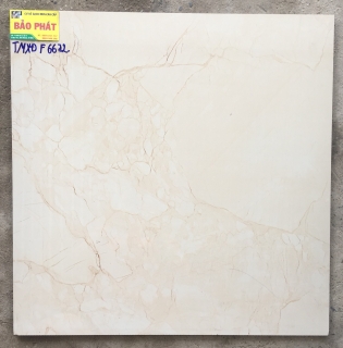 Đá Bóng Kính 60x60 TMXĐ F6672