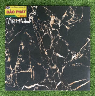 Đá Bóng Kính 60x60 TM 66210 NH