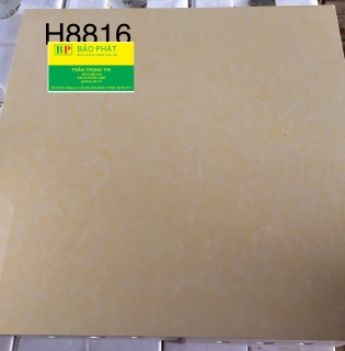 Đá Bóng Kính 80x80 Trung Quốc H8816