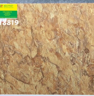 Đá Bóng Kính 80x80 Trung Quốc H8819