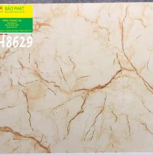 Đá Bóng Kính 80x80 Trung Quốc H8629