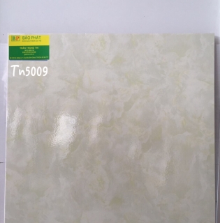 Gạch Lát Nền 50X50 Tn 5009