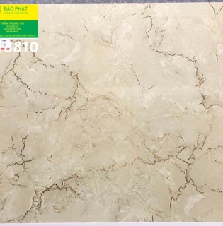 Đá Bóng Kính 80x80 Trung Quốc H8810