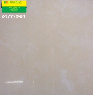 Gạch Lát Nền 50X50 UM561