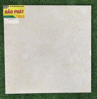 Đá Bóng Kính 60x60 TM 66008 NH