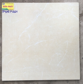 Đá Bóng Kính 60x60 TMXĐ F6671