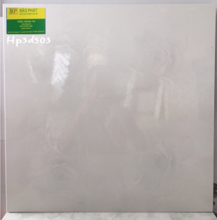 Gạch Lát Nền 50X50 Hp3D 503