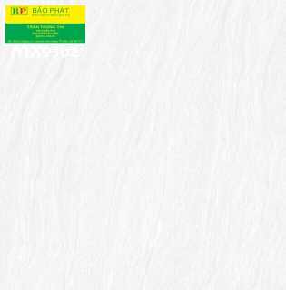 Đá bóng kính 80x80 Maximos MX9302