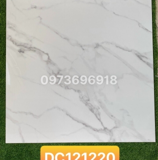 GẠCH LÁT NỀN ĐỒNG CHẤT 120X120  CAO CẤP
