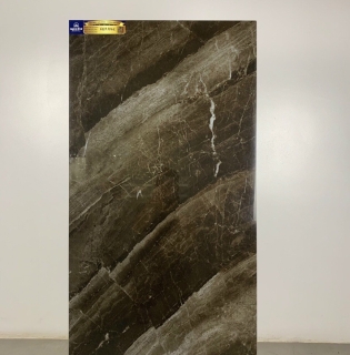 GẠCH CAO CẤP 60X120 APODIO TẠI TP HCM