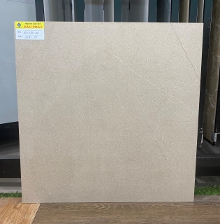 GẠCH ĐỒNG CHẤT 60X60 MEN MỜ LÁT SÂN THƯỢNG
