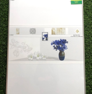 GẠCH ỐP TƯỜNG 3060 GIÁ RẺ TẠI AN GIANG