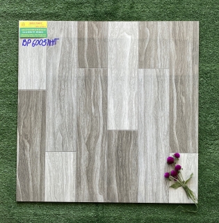 GẠCH BÓNG KIẾNG 60X60 GIÁ RẺ AN GIANG