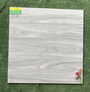 GẠCH LÁT NỀN 60X60 VÂN GỖ BÓNG KIẾNG TẠI TIỀN GIANG