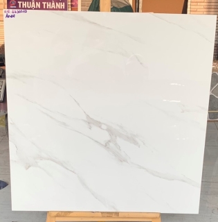 GẠCH 60X60 CAO CẤP ẤN ĐỘ TAI TP HCM