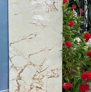 Gạch 60x120 mẫu đẹp giá rẻ