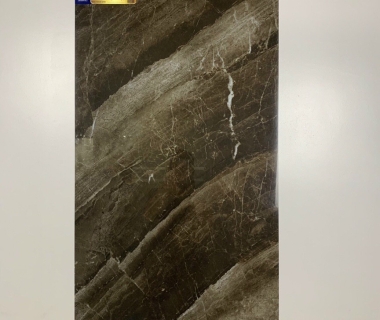 GẠCH APODIO- SỰ LỰA CHỌN HOÀN HẢO CHO NGÔI NHÀ HIỆN ĐẠI