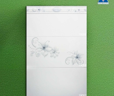 Tìm hiểu nơi phân phối gạch ốp tường 40x80 giá rẻ chất lượng nhất