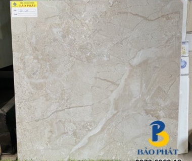 Tìm hiểu ngay tổng kho gạch bóng kiếng uy tín lớn nhất TPHCM