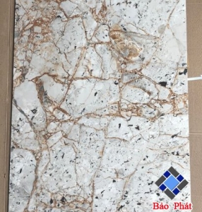 Đơn vị bán các dòng gạch giá rẻ cao cấp